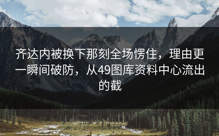 齐达内被换下那刻全场愣住，理由更一瞬间破防，从49图库资料中心流出的截