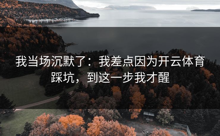 我当场沉默了：我差点因为开云体育踩坑，到这一步我才醒