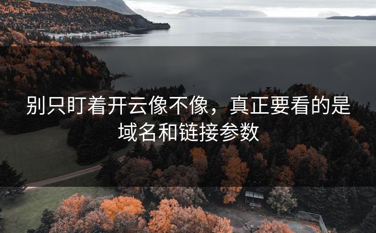 别只盯着开云像不像，真正要看的是域名和链接参数