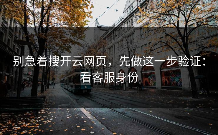 别急着搜开云网页，先做这一步验证：看客服身份