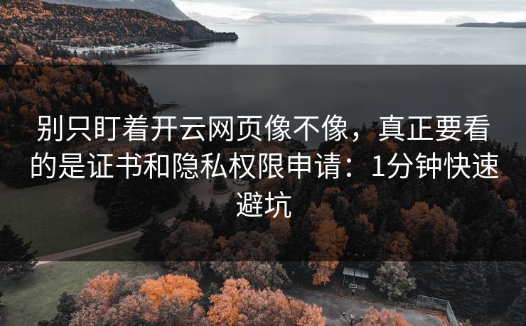 别只盯着开云网页像不像，真正要看的是证书和隐私权限申请：1分钟快速避坑